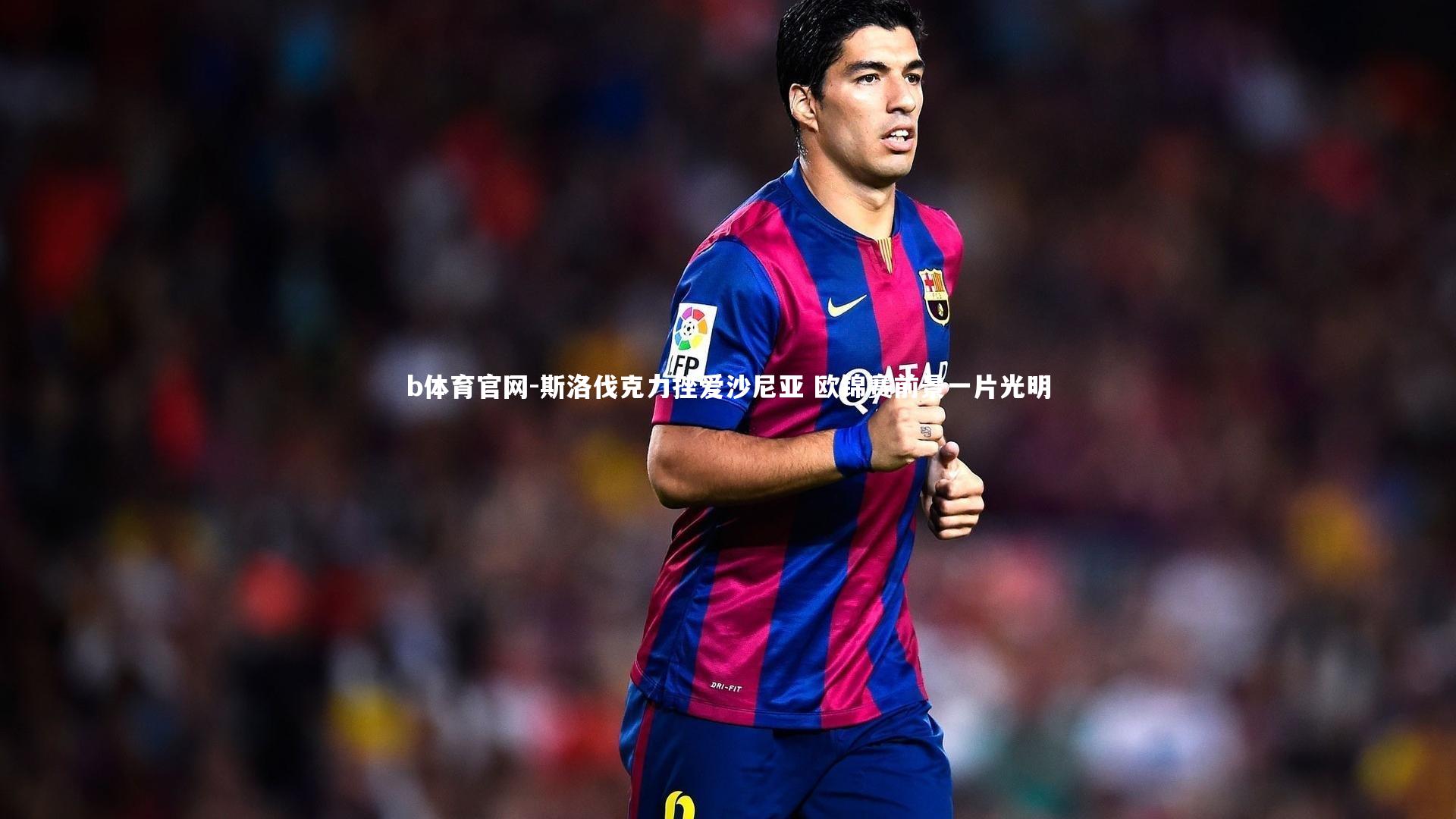 b体育官网-斯洛伐克力挫爱沙尼亚 欧锦赛前景一片光明