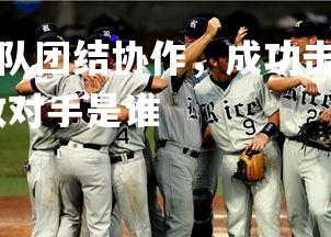 b体育官网-绿草战队团结协作,成功击败对手,绿草战队团结协作,成功击败对手是谁