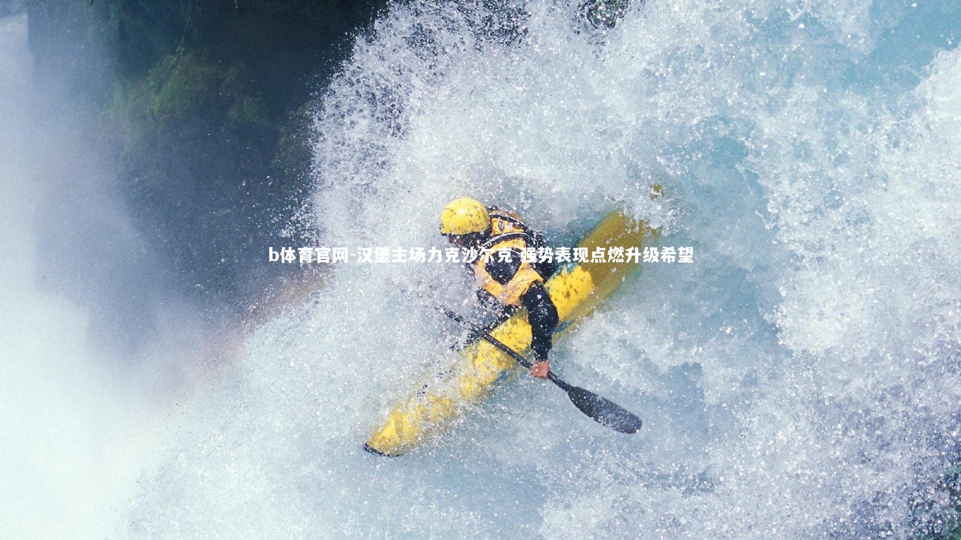 b体育官网-汉堡主场力克沙尔克 强势表现点燃升级希望